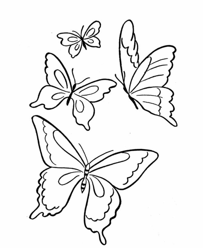 670x820 Butterfly Free Printable Coloring Pages Beautiful Buttefly Drawing - Free Butterfly Drawings