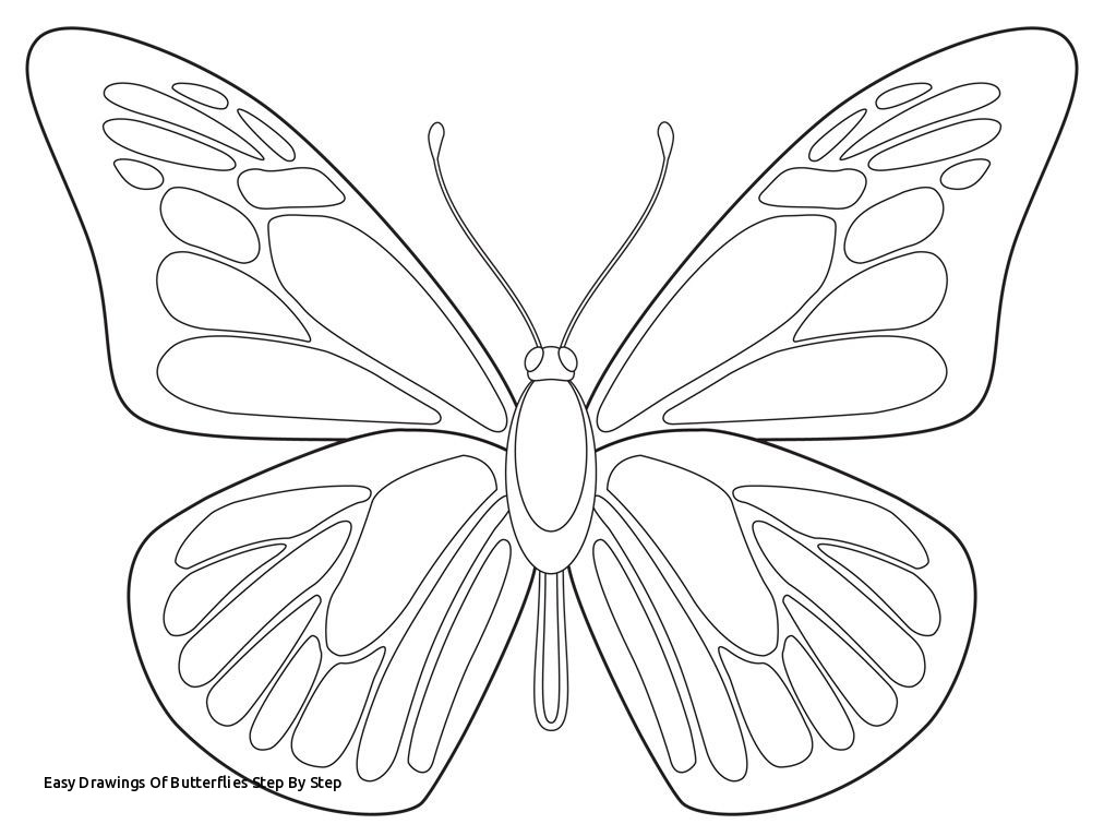 1012x766 Easy Drawings Of Butterflies Step - Free Butterfly Drawings