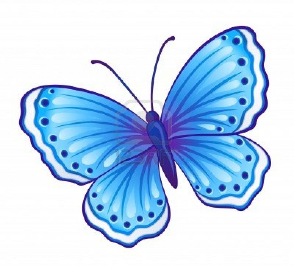 1024x924 Highest Butterflies Images Color Butterfly Drawing At Getdrawings - Free Butterfly Drawings