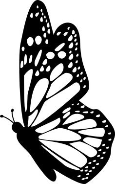 236x376 Image Result For Monarch Butterfly Drawing Collage - Free Butterfly Drawings