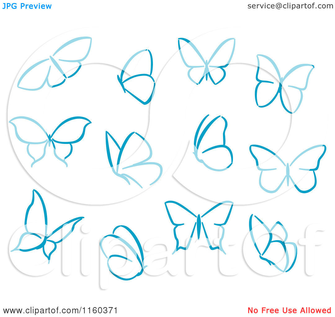 Бабочка референс для рисования