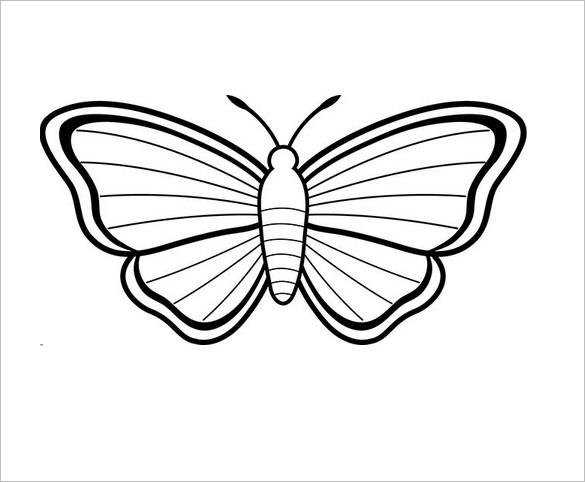 585x482 Butterfly Templates - Free Butterfly Drawings