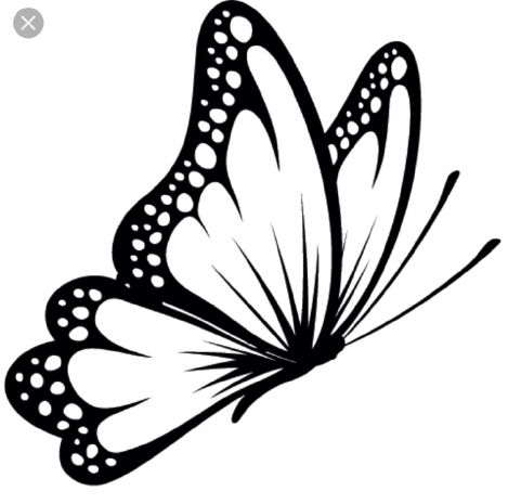 469x465 Butterfly Clipart Black And White Black And White Butterfly - Free Butterfly Drawings