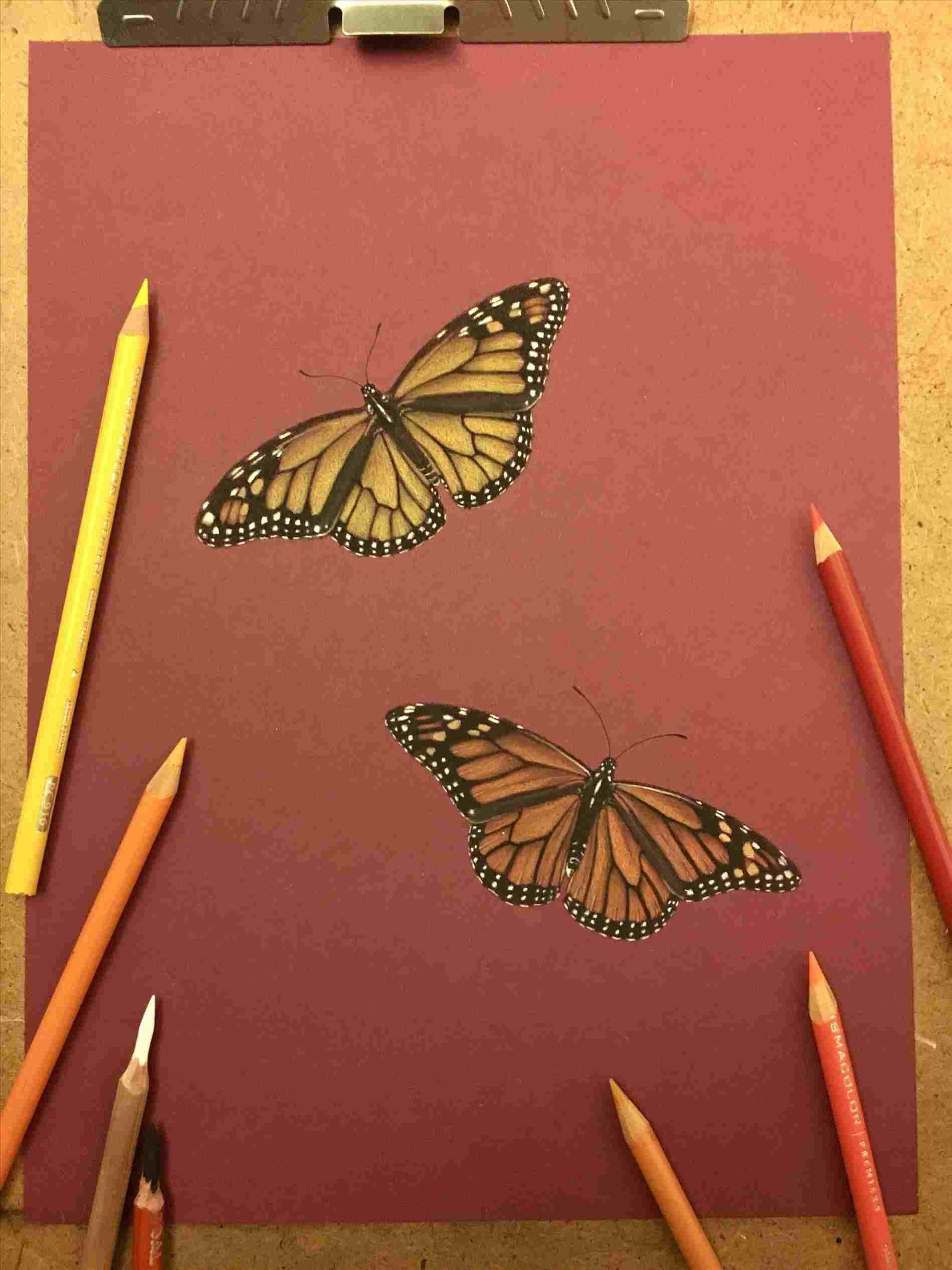 1899x2533 Of Butterfly Pencil Drawing Butterflies - Free Butterfly Drawings