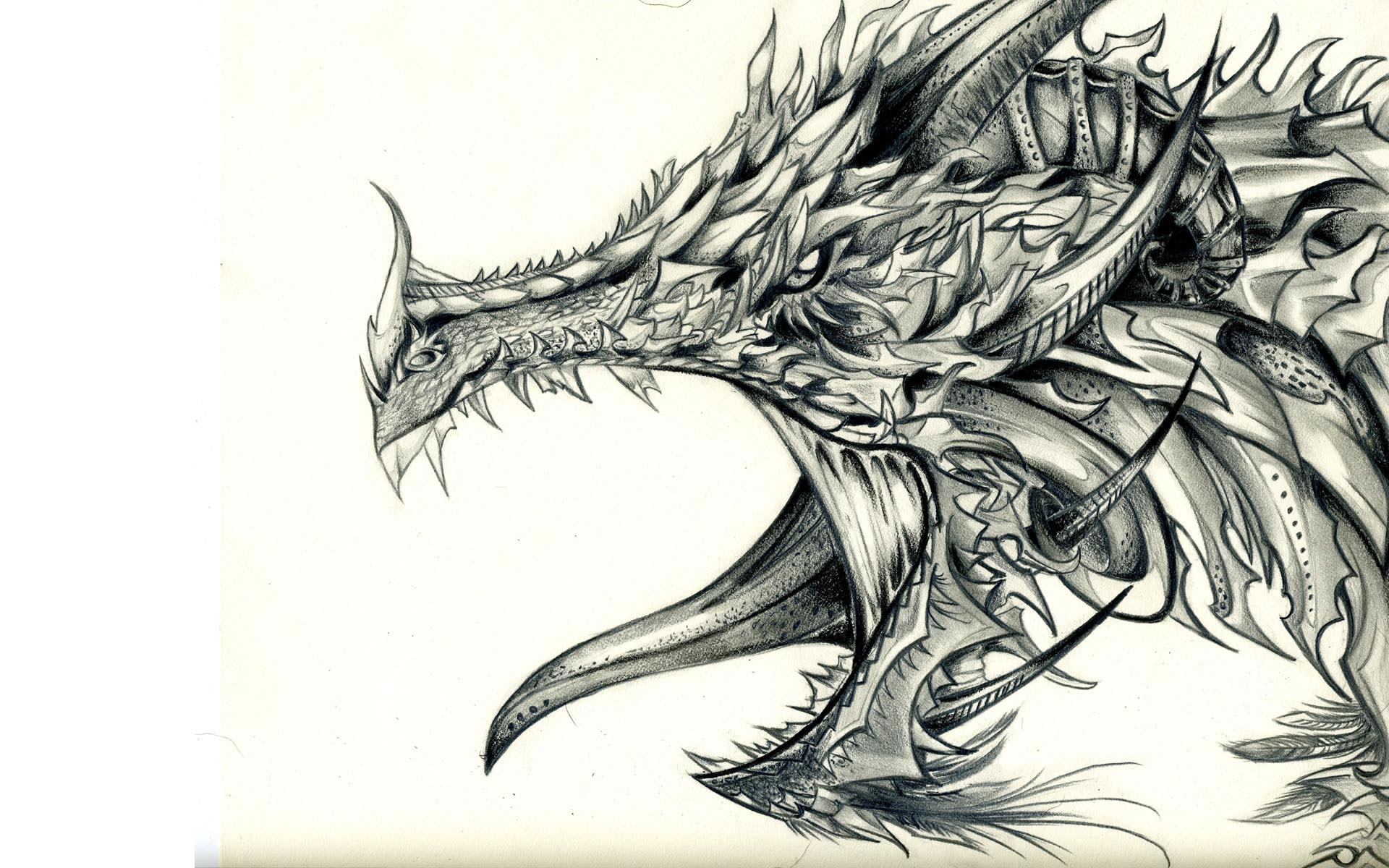 1920x1200 cool sketches of dragons drawing pictures of dragons - Free Dragon Drawings