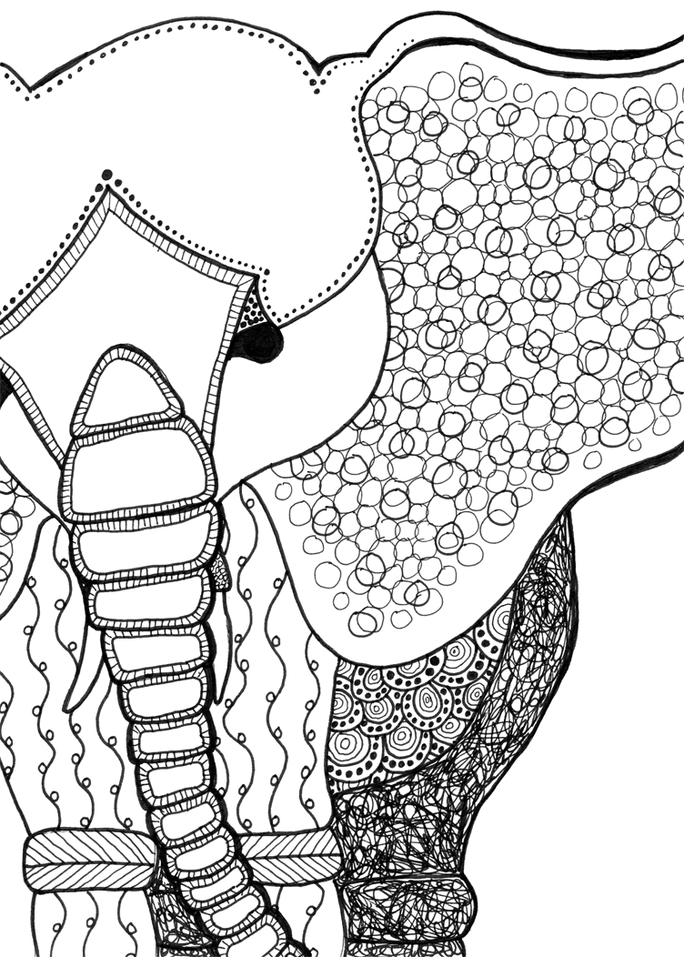 752x1052 Free Drawing Of An Elephant - Free Drawing