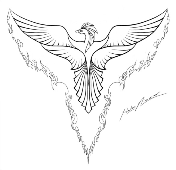 585x564 Mind Blowing Phoenix Bird Art Drawings Free Premium Templates - Free Drawing