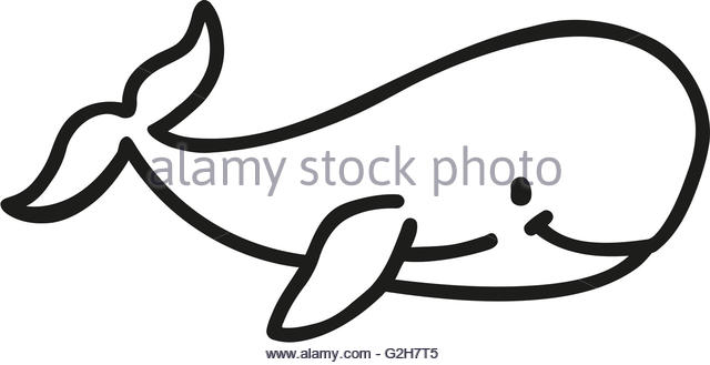 640x329 Whale Cartoon Drawing Cartoon Whale Drawing - Free Drawing Cartoon