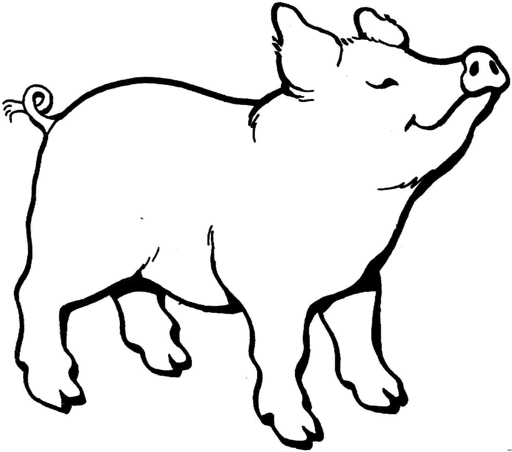 1636x1443 Free Pig Drawing For Kids Printable Pig Coloring Pages For Kids - Free Drawing For Kids