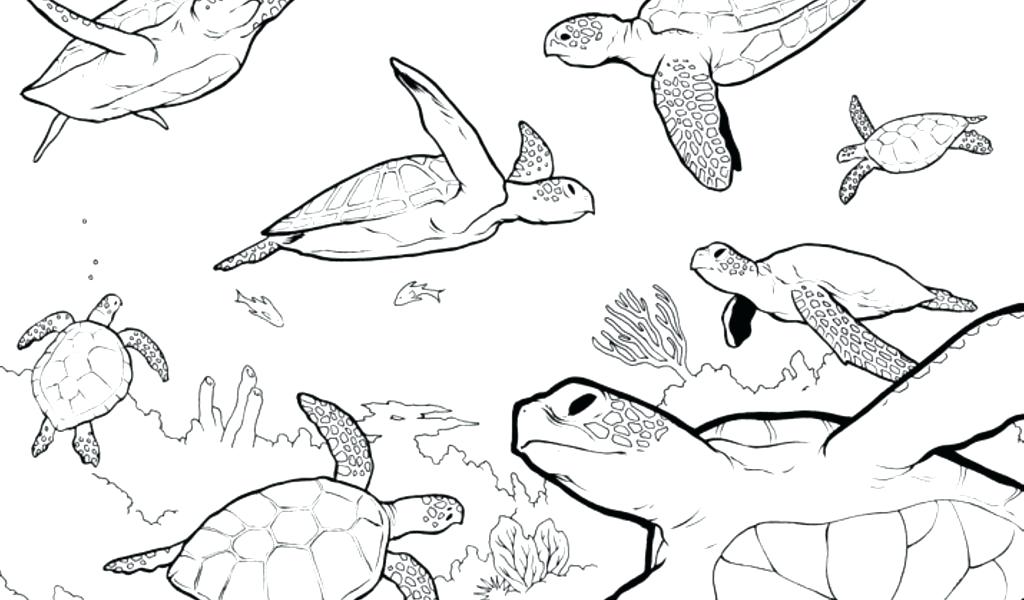 1024x600 free coloring printables for toddlers colour mixing worksheet - Free Drawing For Toddlers