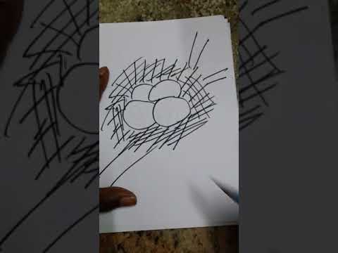 480x360 How To Draw Egg And Nest - Free Drawing Lessons For Kids
