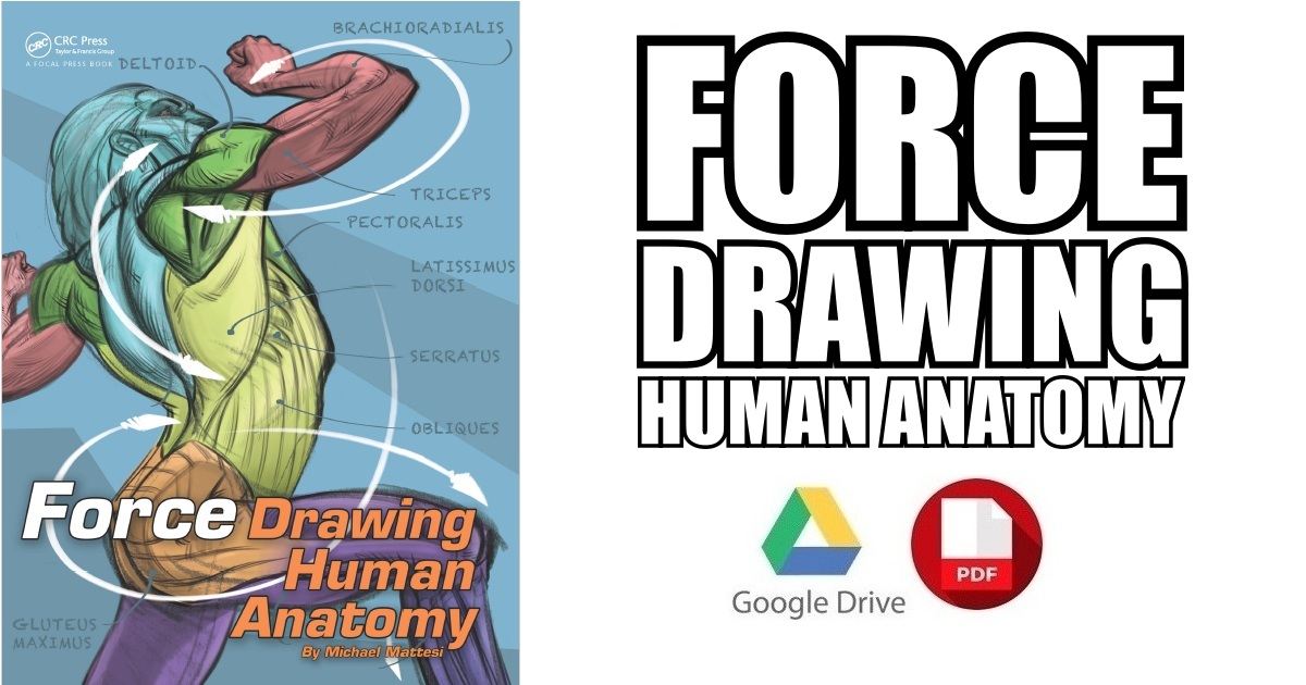 1200x630 Force Drawing Human Anatomy Pdf Free Download - Free Drawing Pdf