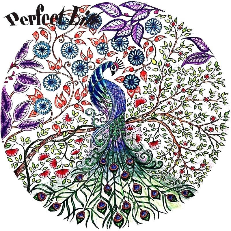 800x800 Peacock Color Drawing Peacock Color Drawing Drawn Peafowl Tree - Free Drawing Pictures