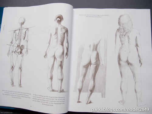 500x375 Drawn Anatomy Anatomy Drawing School - Free Drawing School