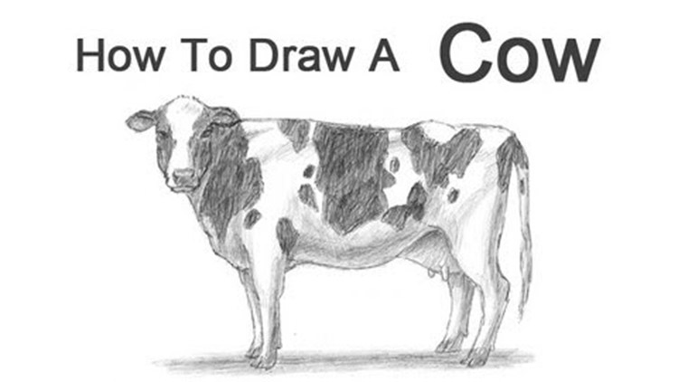750x422 how to draw animals free tutorial videos to help you learn - Free Drawing Videos