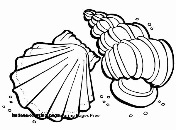 600x442 How To Draw Websites Unique Halloween Pumpkin Coloring Pages Free - Free Drawing Websites
