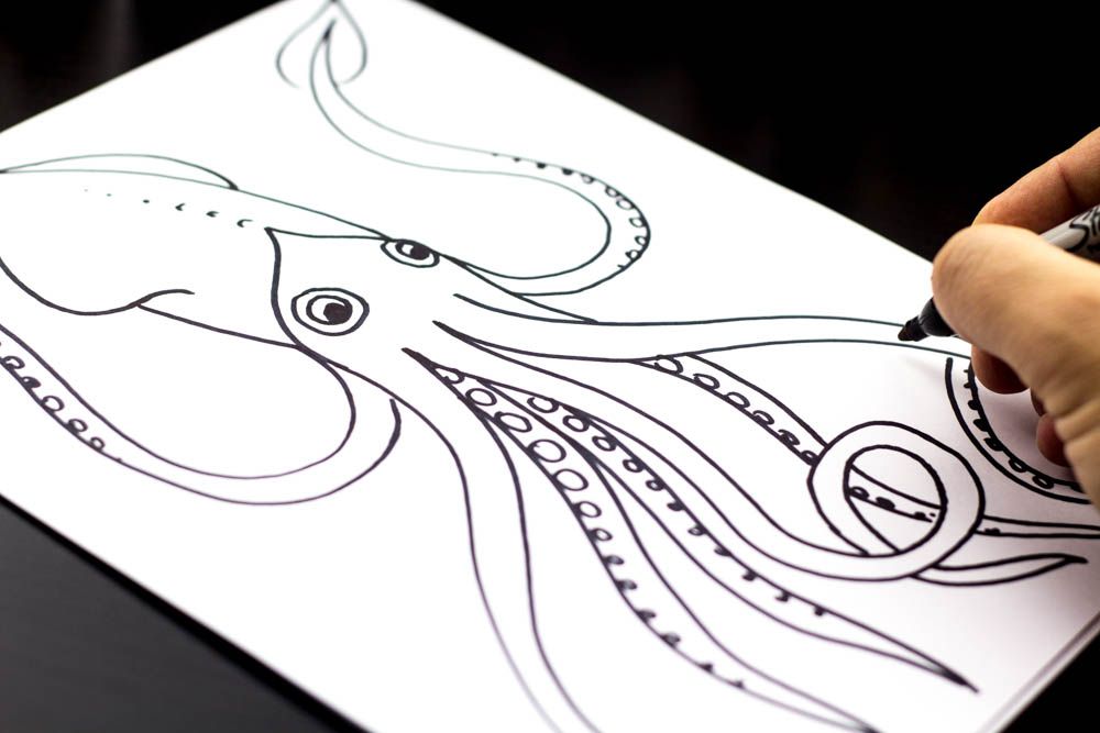 1000x667 Huge Collection Of 'free Drawing Websites' Download More Than - Free Drawing Websites