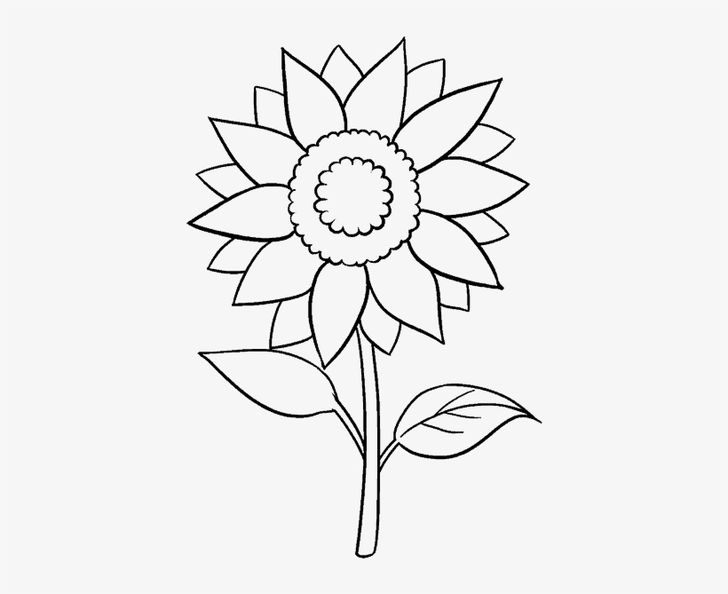 820x669 Easy Drawing Photos At Getdrawings Com Free - Free Easy Drawing