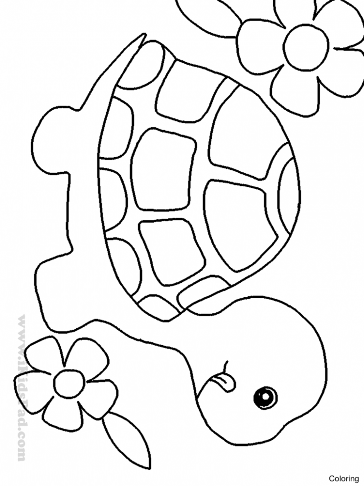 744x993 Easy Drawing For Kids - Free Easy Drawing