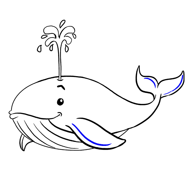 678x600 Whale How To Draw How To Draw A Whale In A Few Easy Steps Easy - Free Easy Drawing