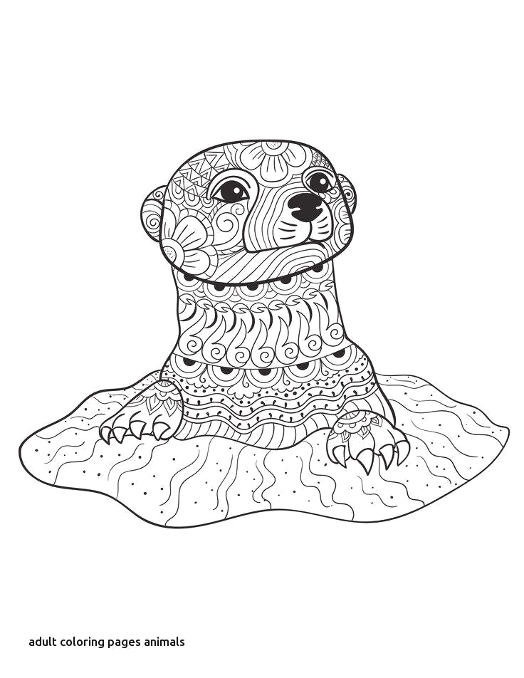 736x952 easy drawing images for kids drawing programs for kids awesome - Free Easy Drawing For Kids