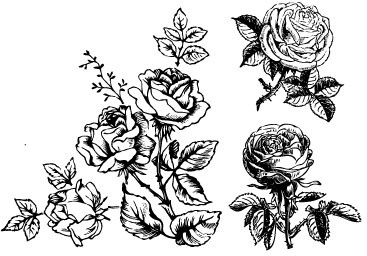 367x256 Hand Drawing Flowers Free Vector Download - Free Flower Drawings