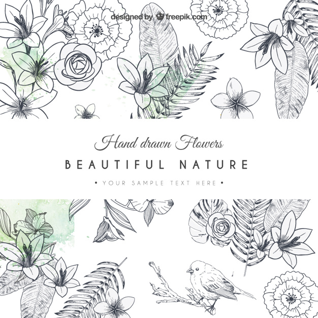 626x626 Hand Drawn Flowers Card Vector Free Download - Free Hand Drawing Flowers