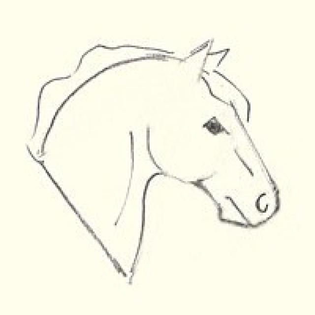 640x640 Easy Horses To Draw Horse Drawing At Getdrawings Com Free - Free Horse Drawings