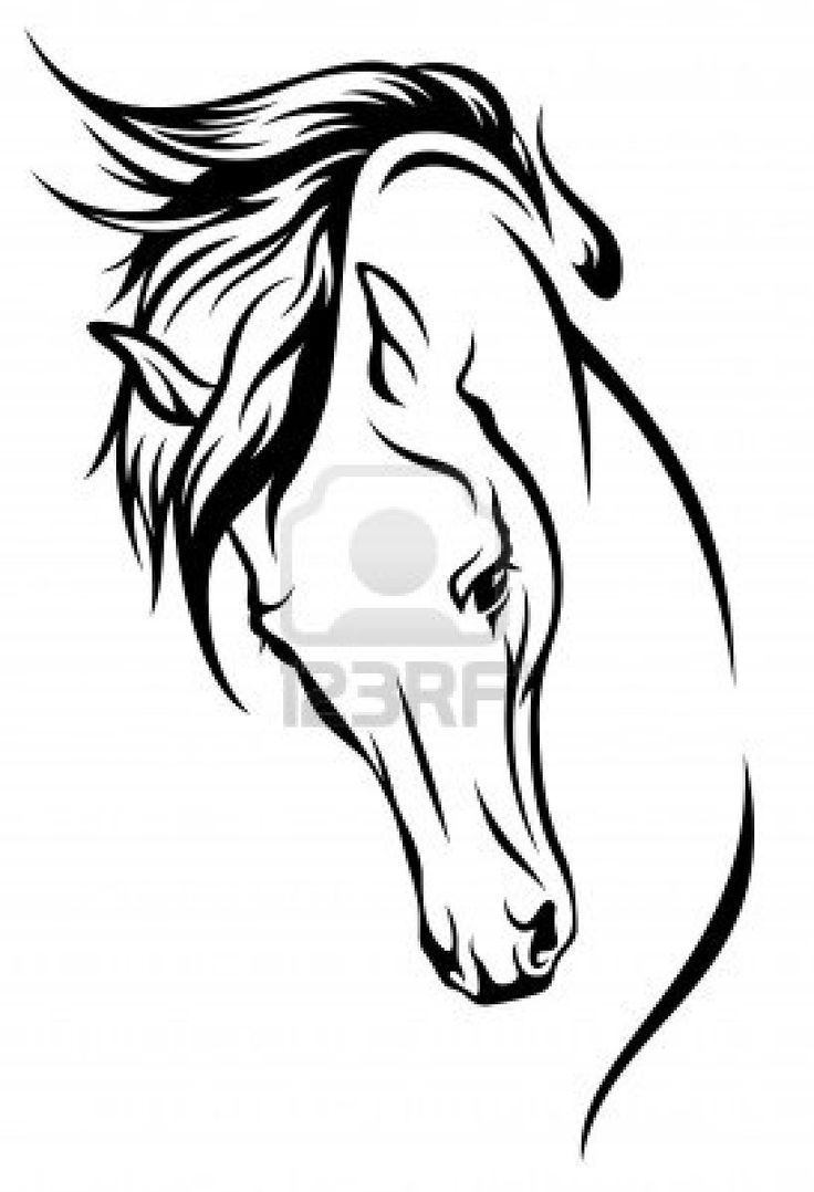 736x1078 Free Horse Drawings - Free Horse Drawings