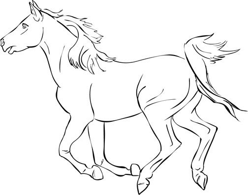 504x397 horse coloring pages free horse coloring pages get out your - Free Horse Drawings