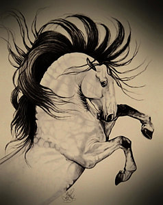238x300 Horse Drawings Royalty Free Images And Horse Drawings Stock Photos - Free Horse Drawings