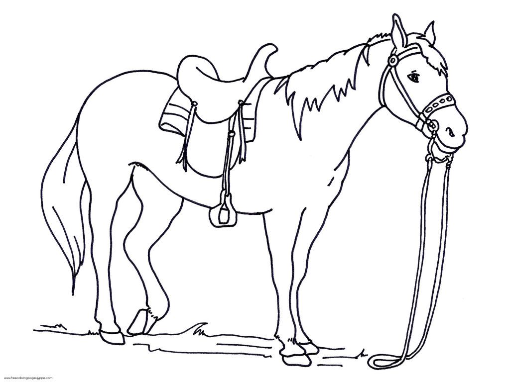 1024x768 Horse Drawings To Print - Free Horse Drawings