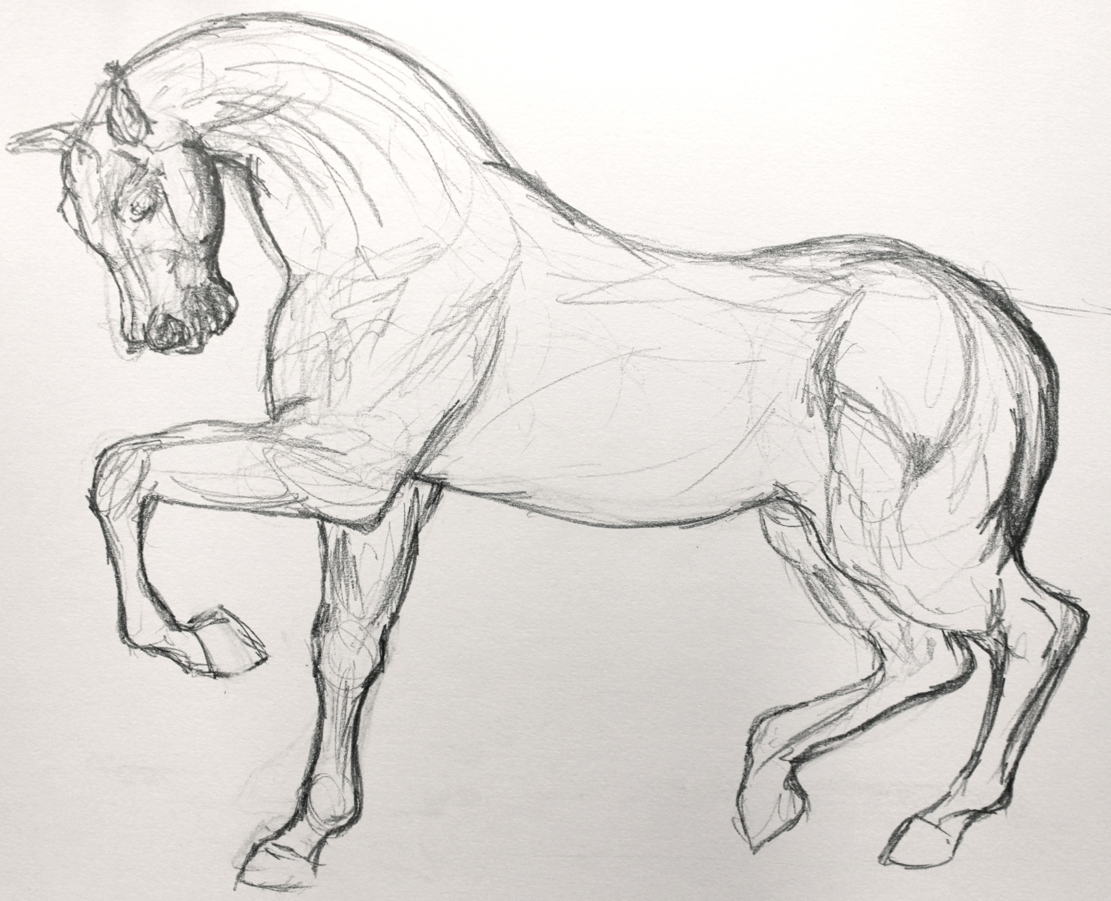 3697x3000 Pictures Of Horse Drawings Free Download Clip Art - Free Horse Drawings