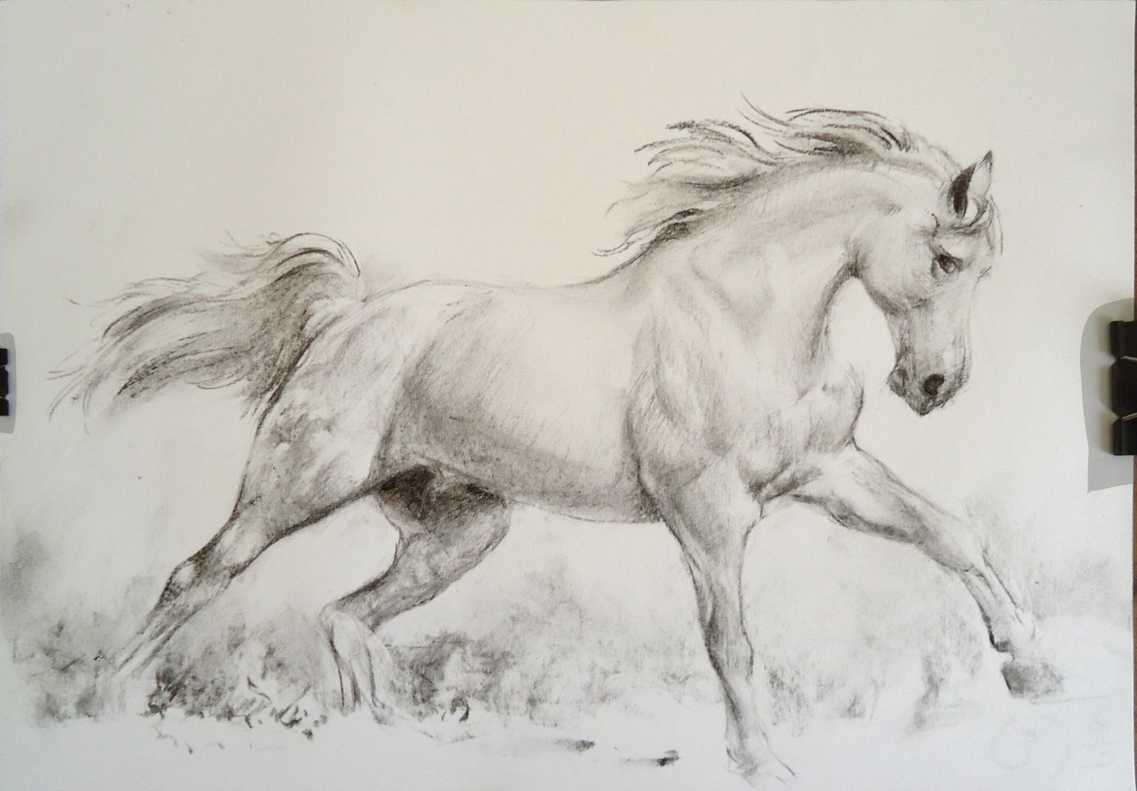 1280x891 Sketch Of A Horse Running - Free Horse Drawings