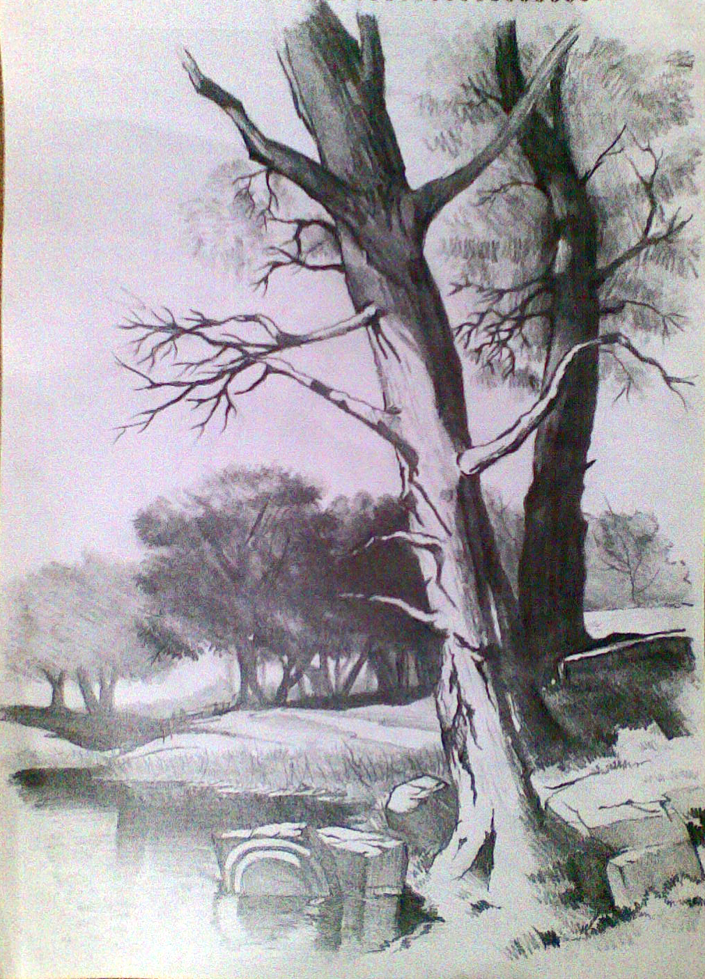 1012x1406 Realistic Landscape Drawing Realistic Landscape Drawing - Free Landscape Drawing