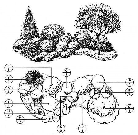 450x440 a whole bunch of free downloadable landscape plans! borders, yards - Free Landscape Drawing