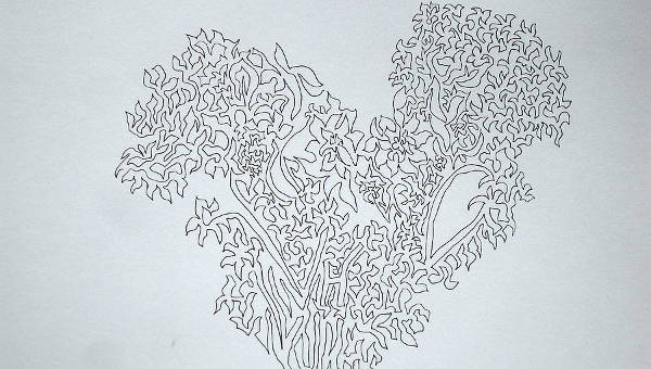 600x340 Best Line Drawings, Art Ideas Free Premium Templates - Free Line Drawings