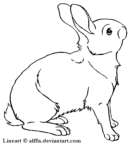 417x464 Rabbit Line Art Group With Items - Free Line Drawings