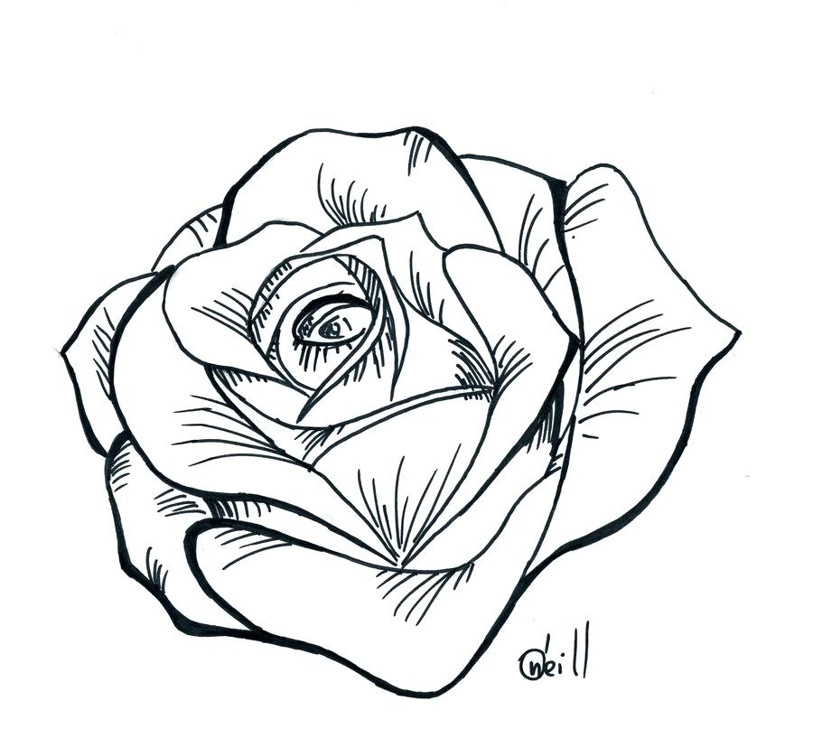 900x817 Free Rose Drawing Outline Download Free Clip Art Free Clip Art - Free Line Drawings Clip Art