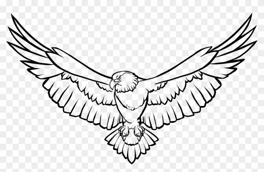 840x550 line art drawing bald eagle eagle feather law - Free Line Drawings Clip Art