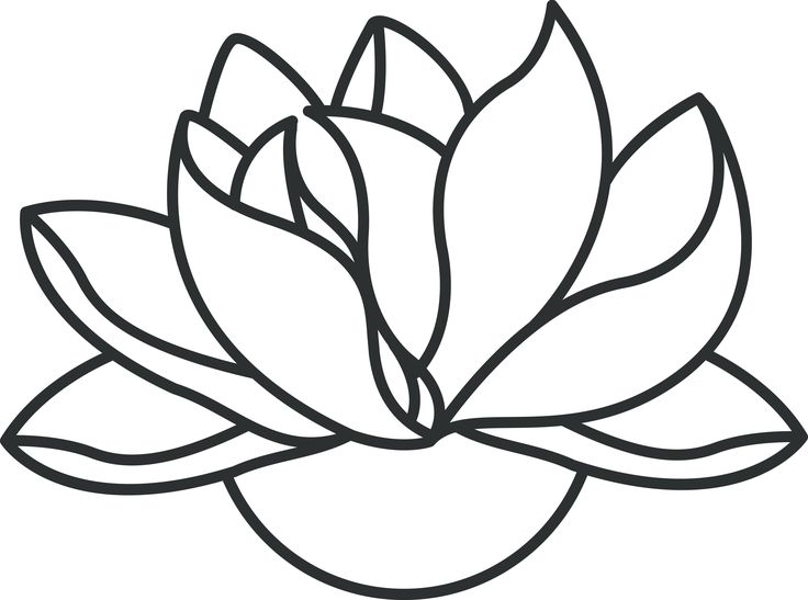 736x547 Line Drawing Flowers Clip Art Clip Art - Free Line Drawings Clip Art