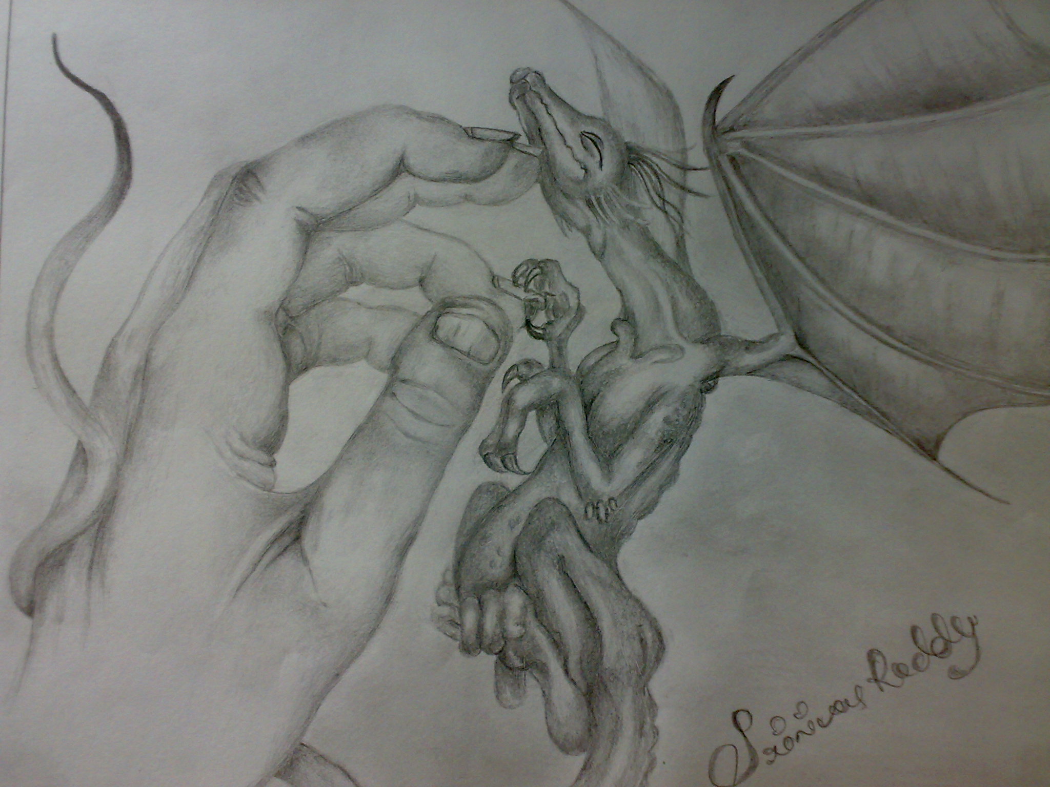 2048x1536 Free Stock Photo Of Color Pencil, Drawing, Manga Art - Free Pencil Drawings