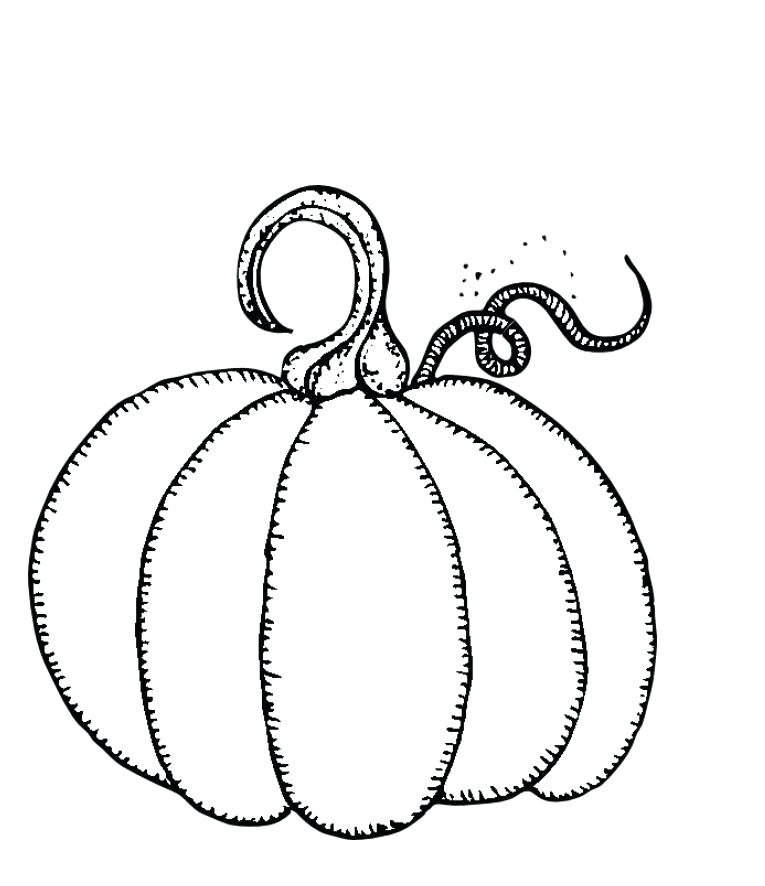 765x886 Coloring Pages Of Pumpkin For Halloween Cute Pumpkins Drawing - Free Pumpkin Drawing