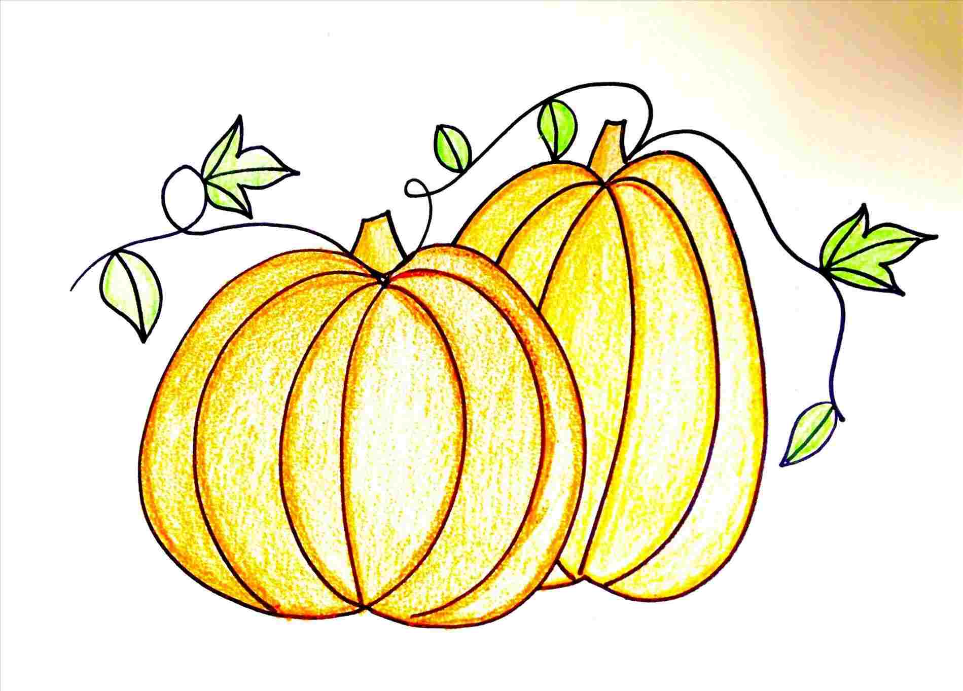 1899x1363 Rhgetdrawingscom Line Download Clip Art On Rhclipartlibrarycom - Free Pumpkin Drawing