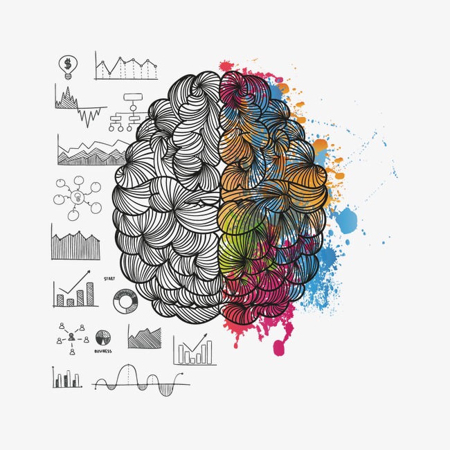650x650 vector drawing brain, brain vector, brain, drawing brain png - Free Vector Drawing