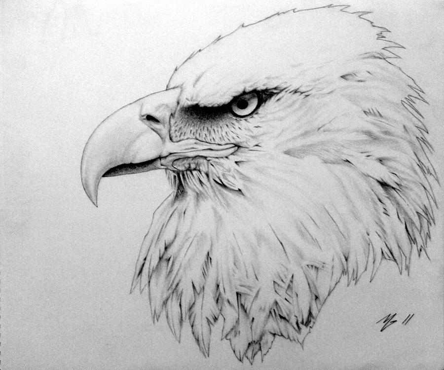 Freedom Drawing - Freedom Drawing. 