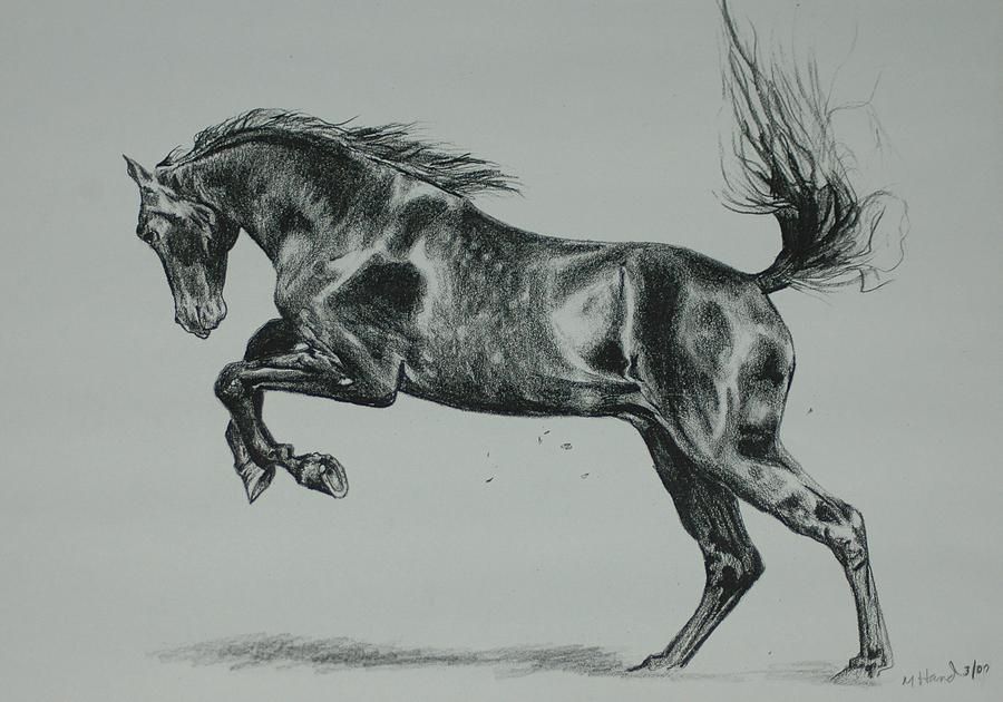 900x630 Freedom Drawing - Freedom Drawing