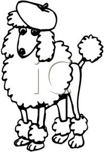 205x300 black and white poodle wearing a beret silhouettes 'n paris - French Beret Drawing