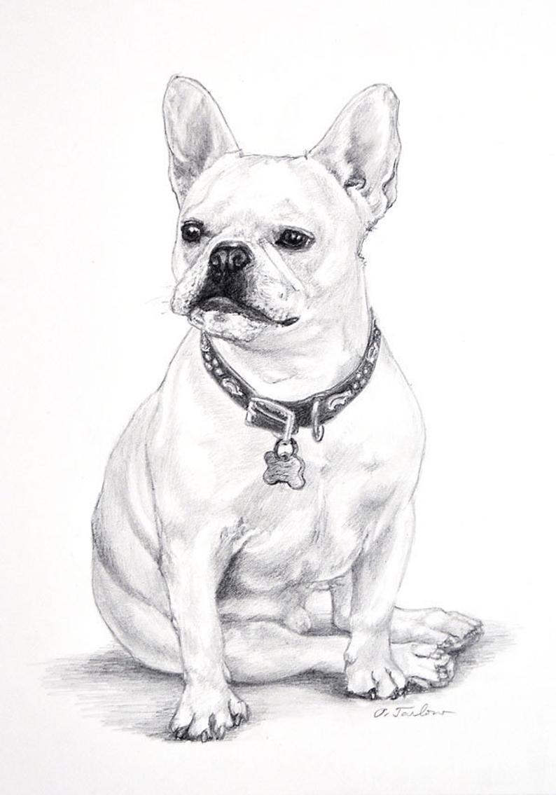 794x1135 french bulldog art print frenchie dog print dog art print etsy - French Bulldog Drawing