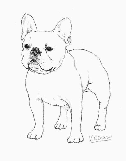 406x518 image result for how to draw a simple french bulldog kristin - French Bulldog Drawing